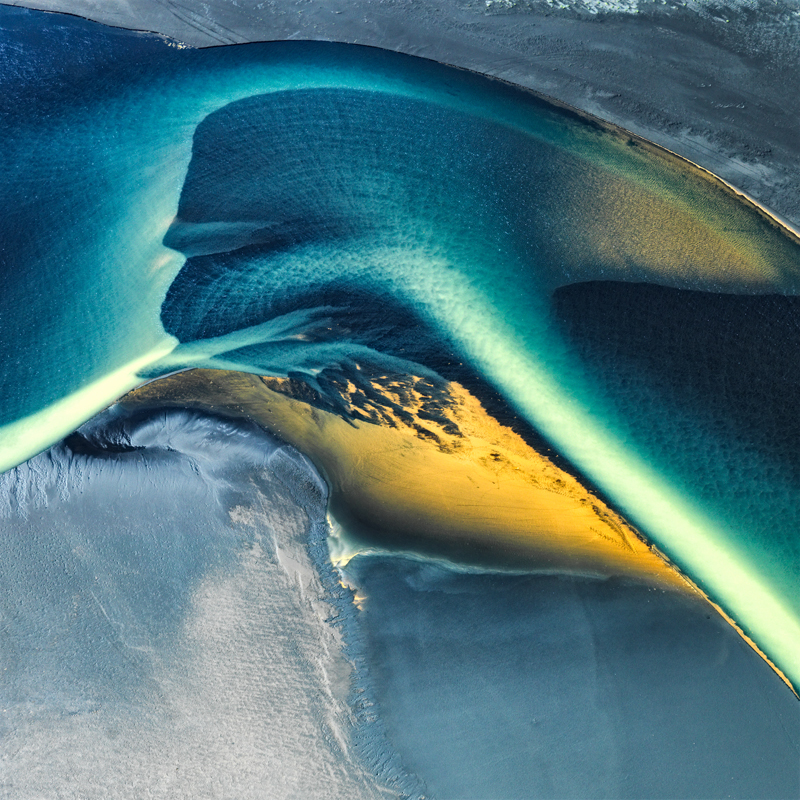 Bird of Paradise - Iceland River Deltas