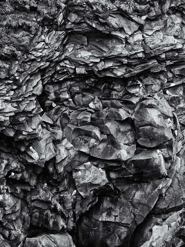 Hellnar nesting - Iceland landscapes