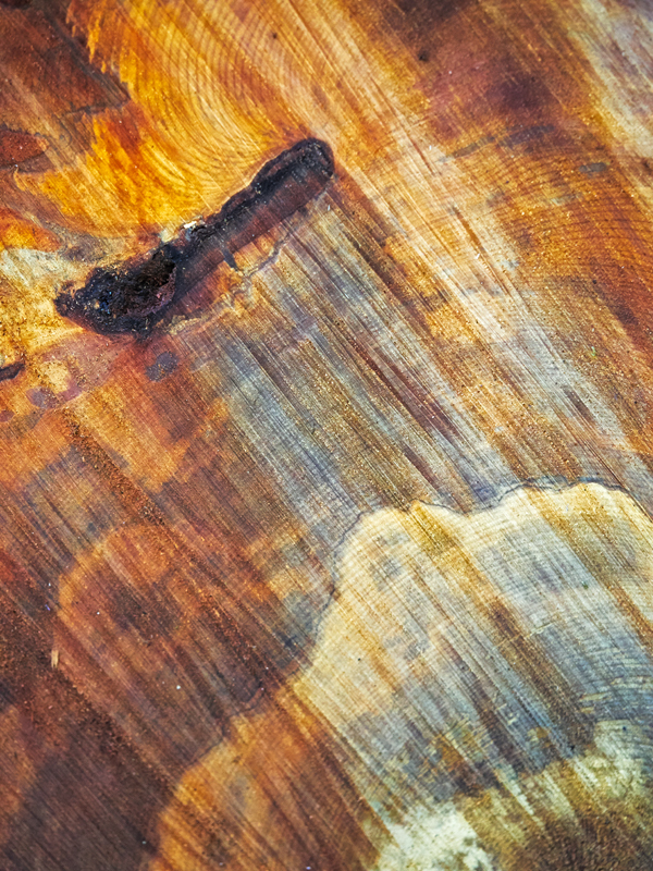 Chainsaw Study #2 - Chainsaw Art