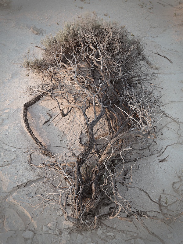 Sinuous - Landscapes