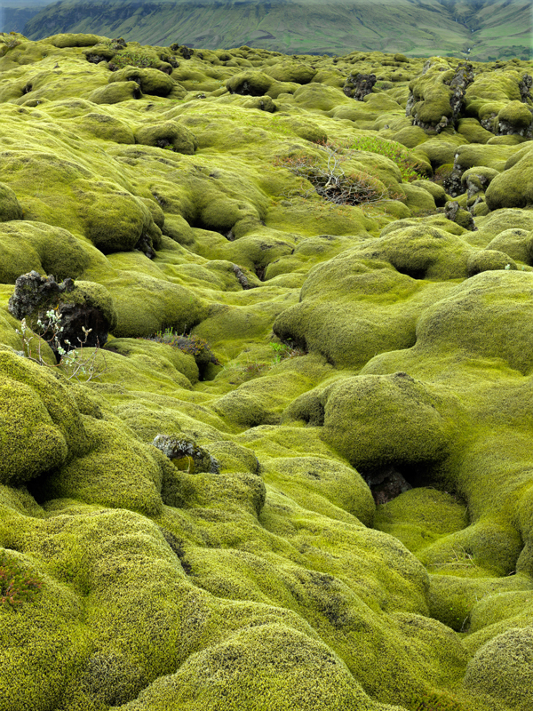 Eldraun_707-709_02 - Iceland 2013 - Working gallery