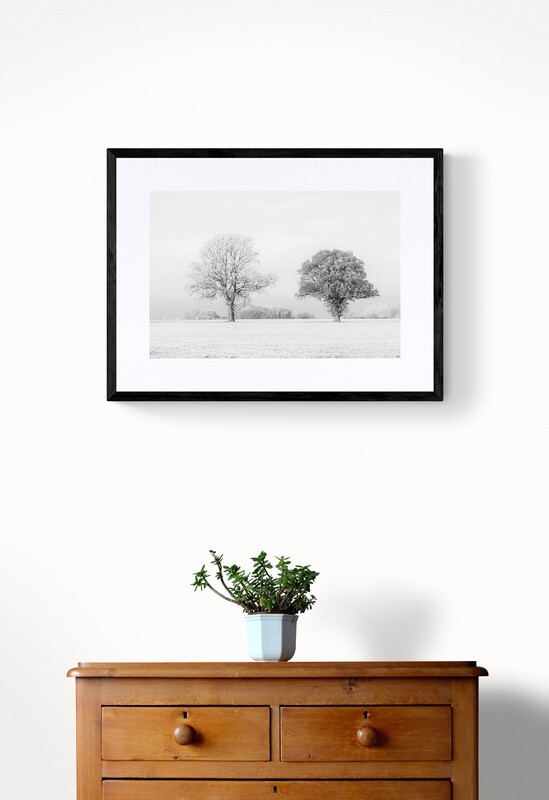  - Black Tree, White Tree