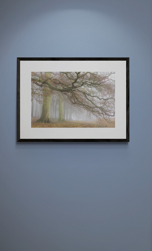  - Autumn at Blickling Park Norfolk