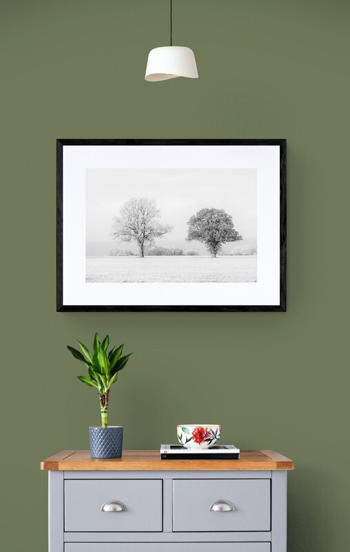  - Black Tree, White Tree