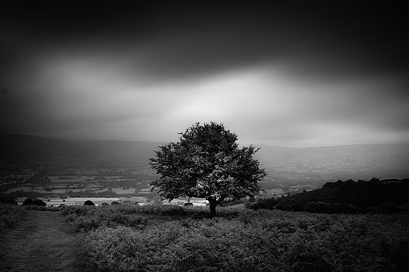  - Peer into the Darkness (inland)