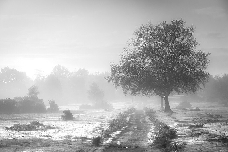  - Squint into the Light (inland)