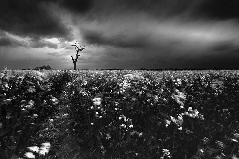  - Peer into the Darkness (inland)