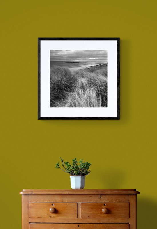  - Coastal Grasses