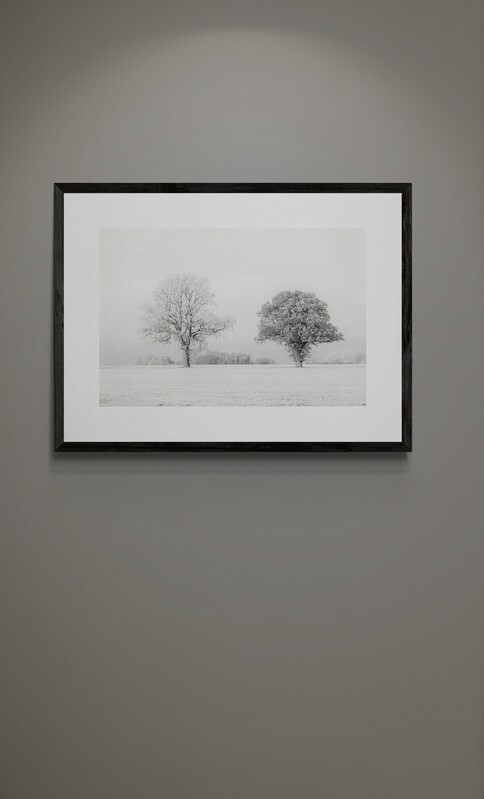  - Black Tree, White Tree