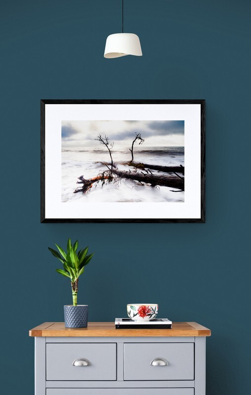  - Fallen Trees in the Ocean