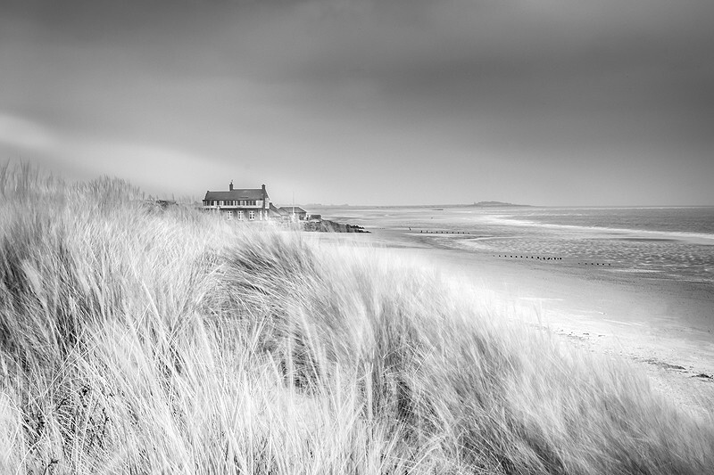  - Squint into the Light (coast)