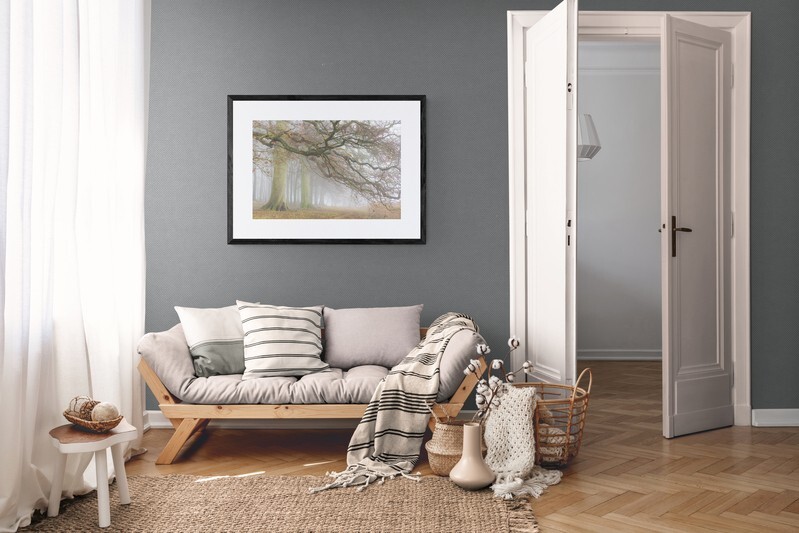  - Autumn at Blickling Park Norfolk