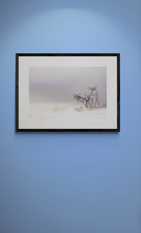  - Trees in the Ocean 2