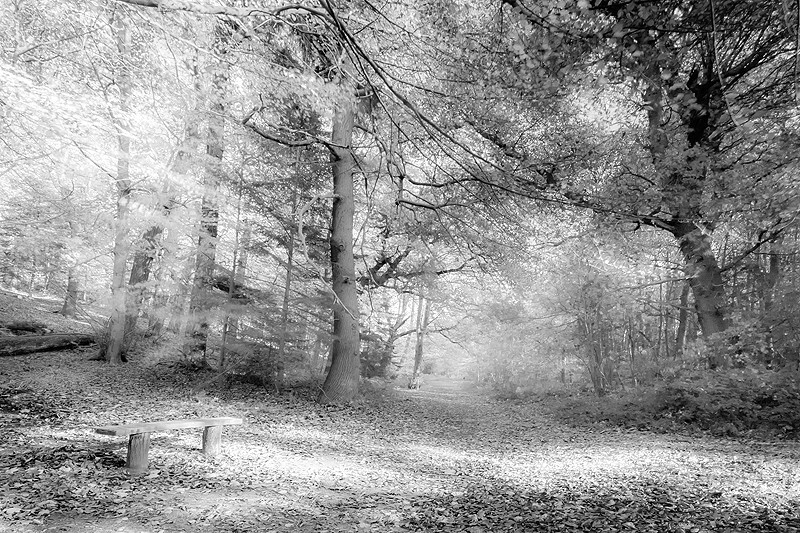  - Squint into the Light (inland)