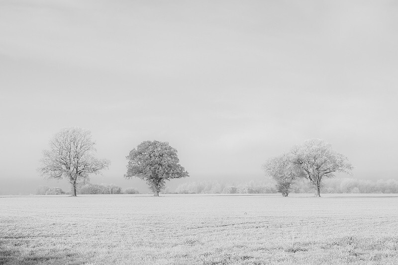  - Squint into the Light (inland)