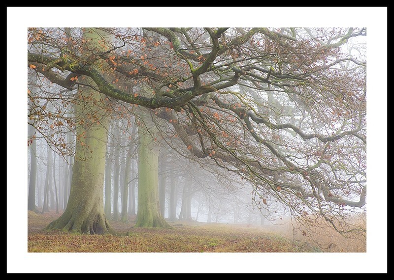  - Autumn at Blickling Park Norfolk