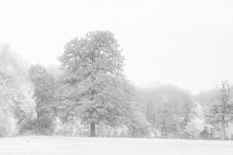  - Squint into the Light (inland)