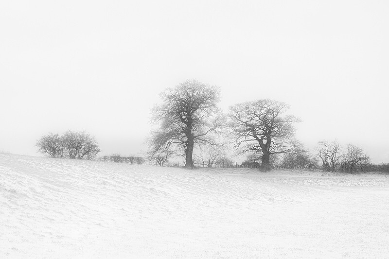 - Squint into the Light (inland)