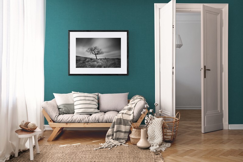  - Lone Tree in the Peak District