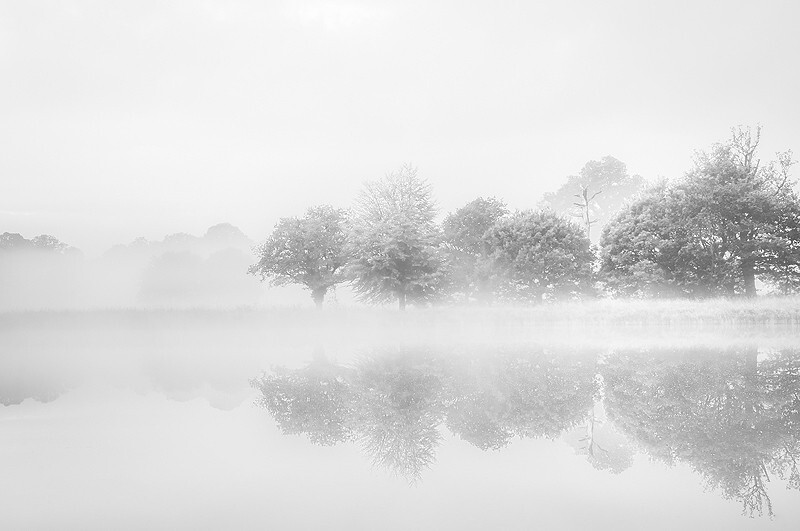  - Squint into the Light (inland)