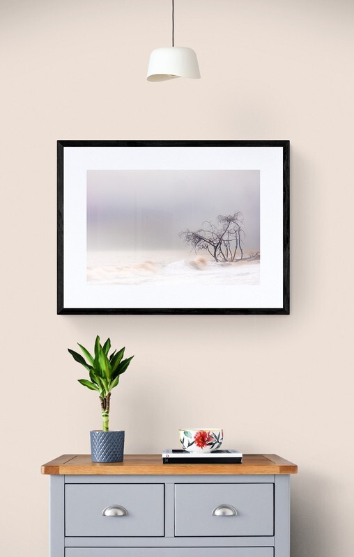  - Trees in the Ocean 2