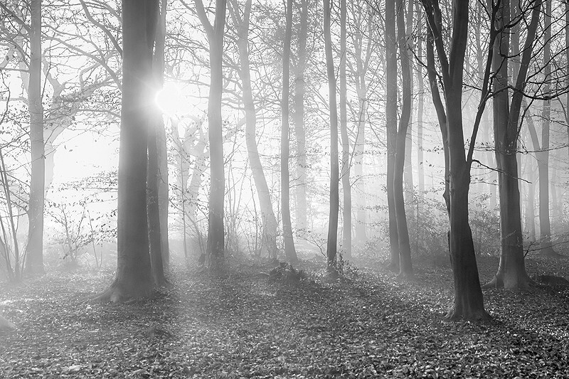  - Squint into the Light (inland)