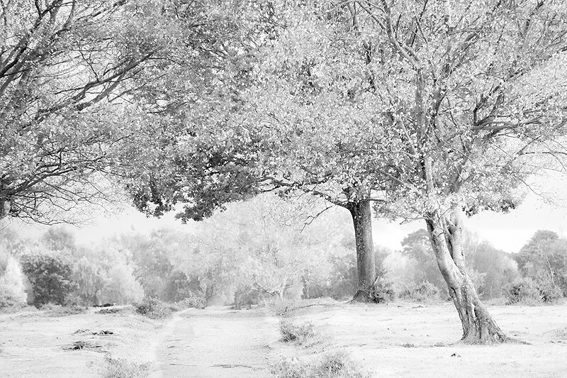  - Squint into the Light (inland)