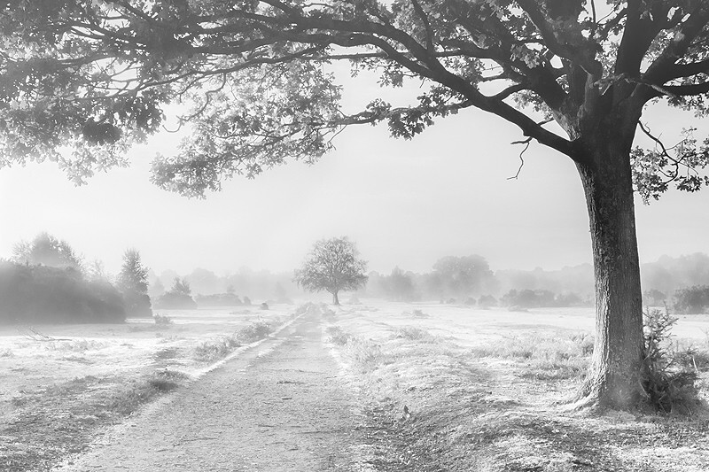  - Squint into the Light (inland)