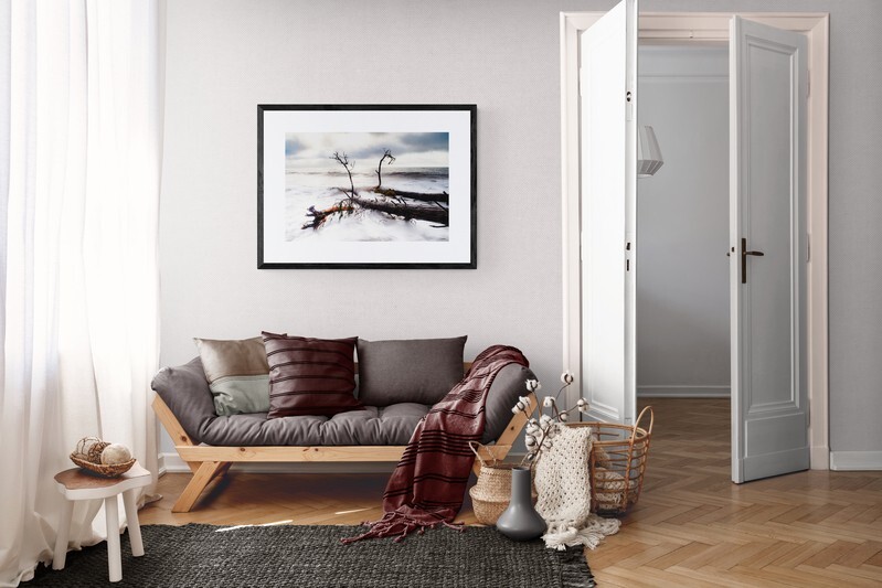  - Fallen Trees in the Ocean