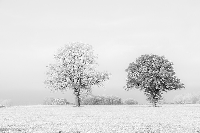  - Squint into the Light (inland)