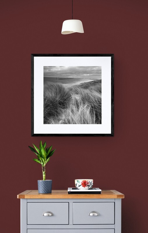  - Coastal Grasses