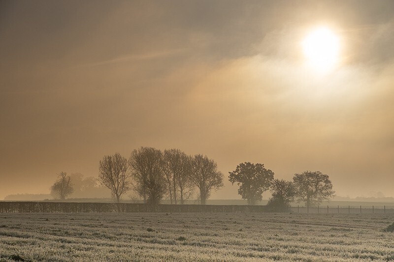 Winter Sun Fine art photography by The Silent Photographer