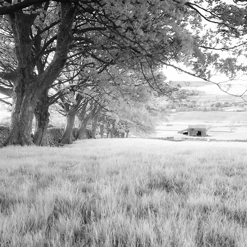 Infra red black and white landscape photograph of a barn in field hear Hawes, Wendsleydale, Yorkshire Dales