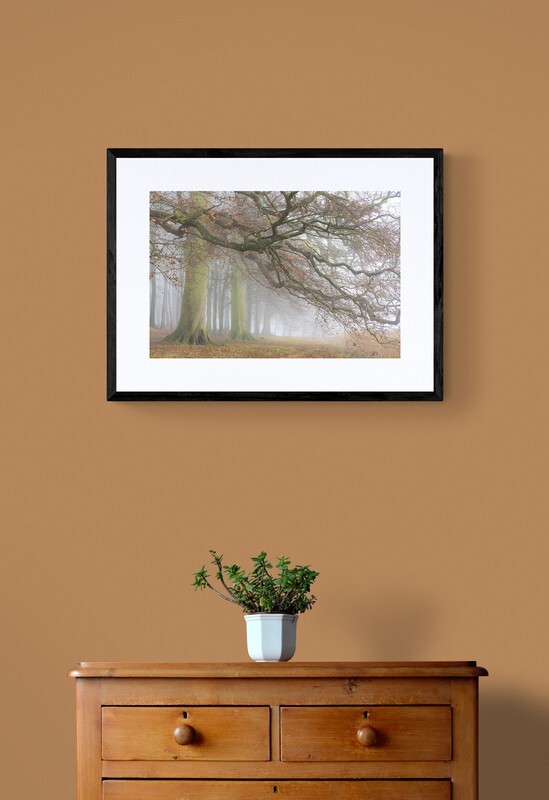  - Autumn at Blickling Park Norfolk