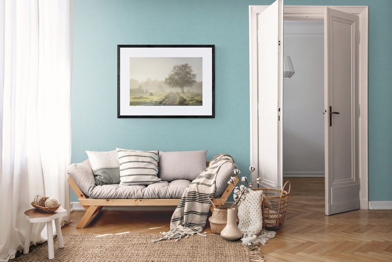  - New Forest misty morning