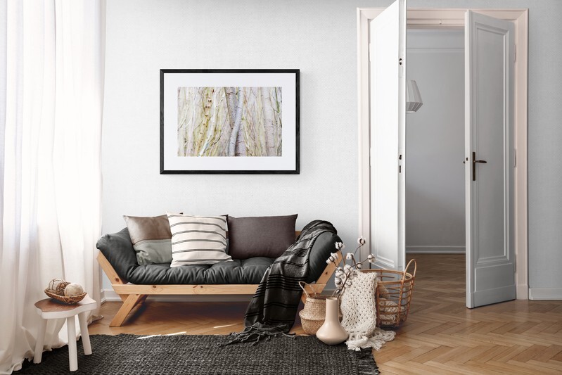  - Entwined Tree Trunks