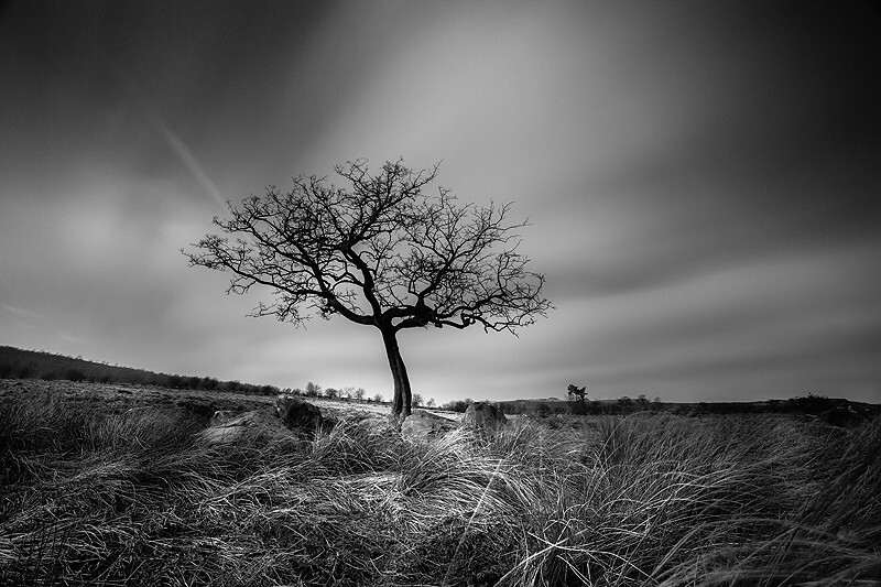  - Peer into the Darkness (inland)