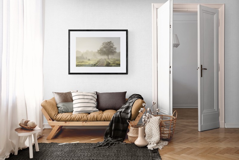  - New Forest misty morning