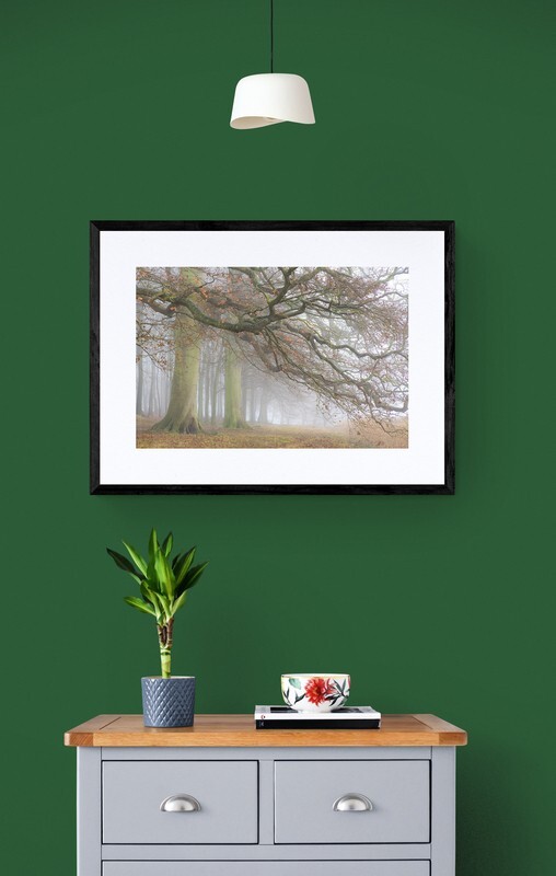  - Autumn at Blickling Park Norfolk