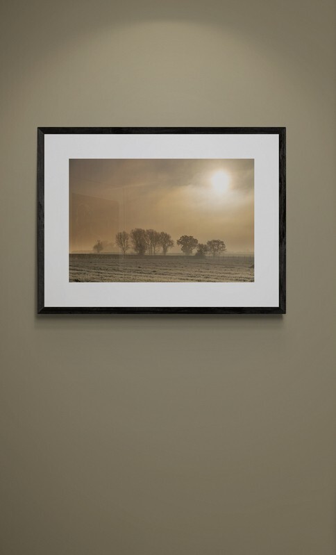  - Winter Sun