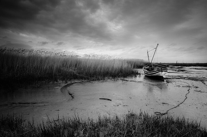  - Peer into the Darkness (coast)