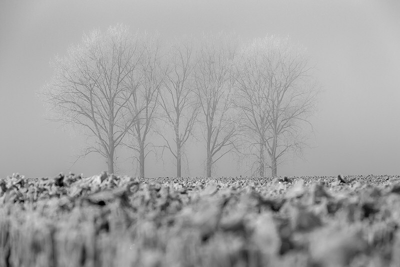  - Squint into the Light (inland)