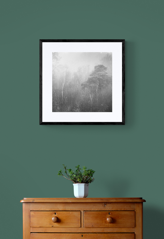  - Woodland Shapes