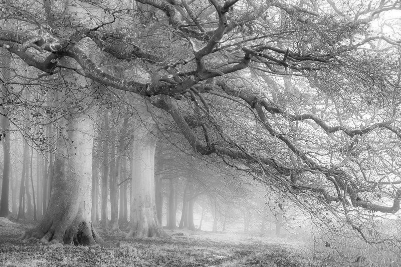  - Squint into the Light (inland)