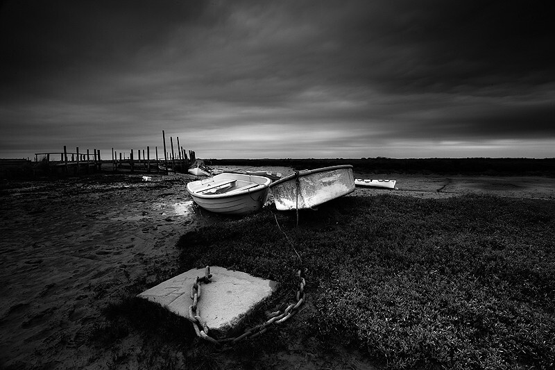  - Peer into the Darkness (coast)