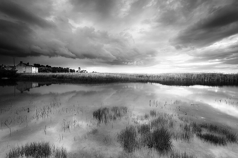  - Squint into the Light (coast)