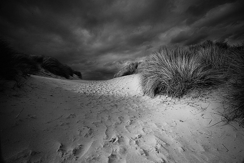  - Peer into the Darkness (coast)