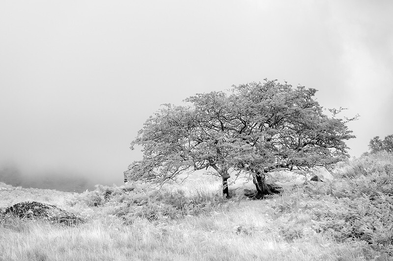  - Squint into the Light (inland)
