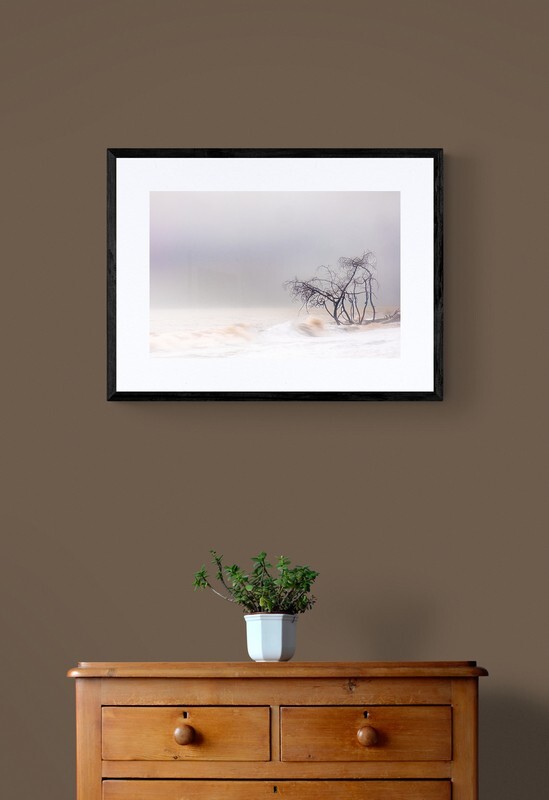  - Trees in the Ocean 2