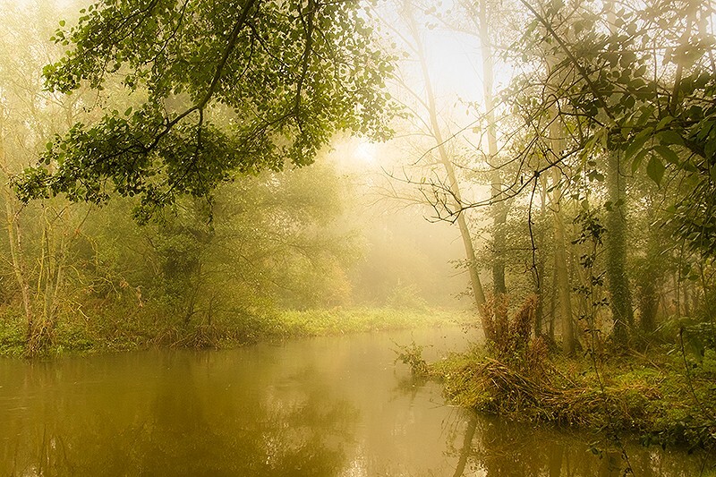 Autumn Waterways #3 Fine art photography by The Silent Photographer